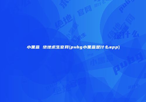 小黑盒 绝地求生官网(pubg小黑盒是什么app)