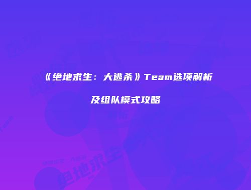 《绝地求生：大逃杀》Team选项解析及组队模式攻略