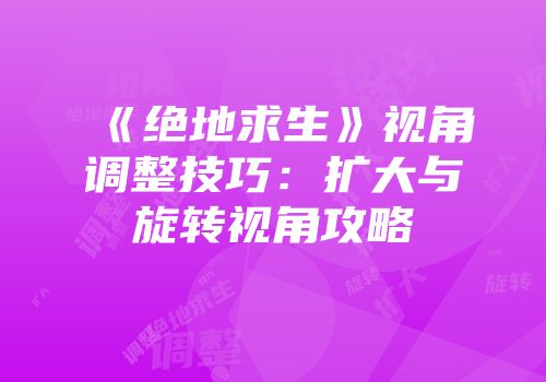 《绝地求生》视角调整技巧：扩大与旋转视角攻略
