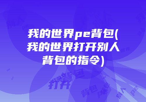 我的世界pe背包(我的世界打开别人背包的指令)