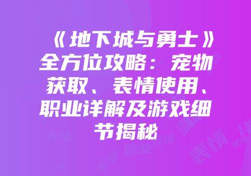 《地下城与勇士》全方位攻略：宠物获取、表情使用、职业详解及游戏细节揭秘