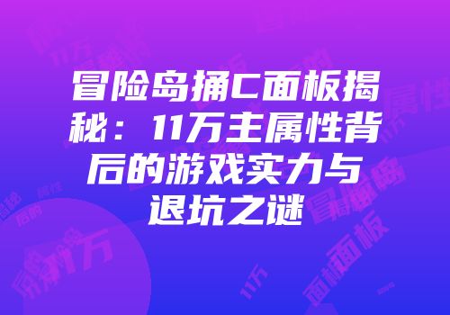 冒险岛捅C面板揭秘：11万主属性背后的游戏实力与退坑之谜