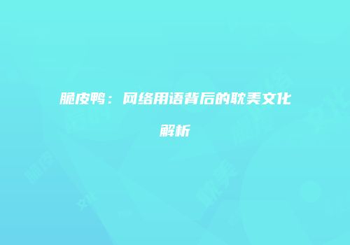 脆皮鸭：网络用语背后的耽美文化解析
