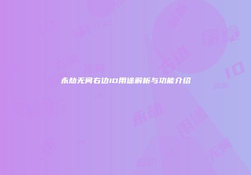 永劫无间右边ID用途解析与功能介绍
