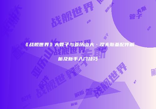 《战舰世界》大管子与亚历山大·涅夫斯基配件解析及新手入门技巧