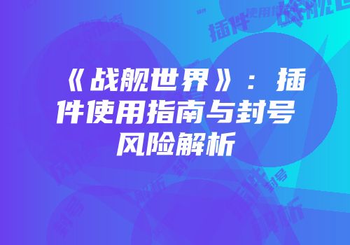 《战舰世界》：插件使用指南与封号风险解析