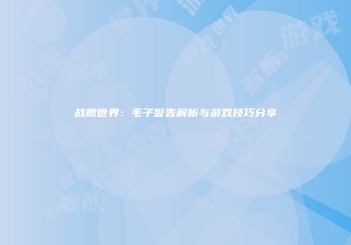 战舰世界：毛子警告解析与游戏技巧分享