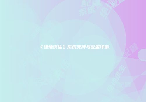 《绝地求生》系统支持与配置详解