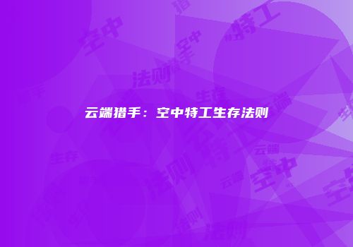 云端猎手：空中特工生存法则
