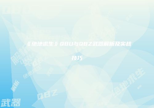 《绝地求生》QBU与QBZ武器解析及实战技巧