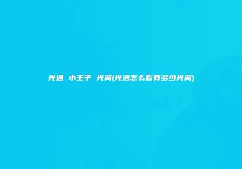 光遇 小王子 光翼(光遇怎么看有多少光翼)