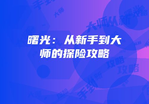 曙光：从新手到大师的探险攻略
