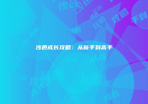沙邑成长攻略：从新手到高手