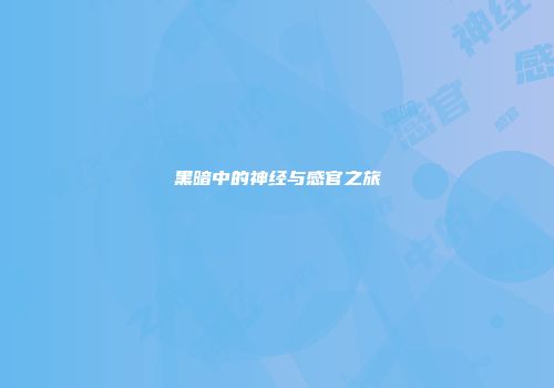 黑暗中的神经与感官之旅