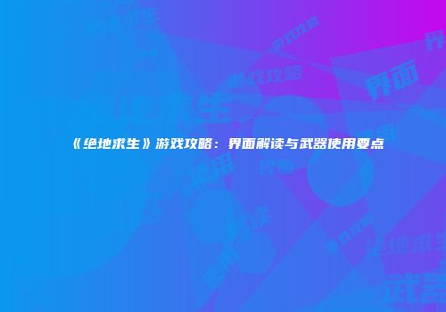 《绝地求生》游戏攻略：界面解读与武器使用要点