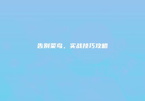 告别菜鸟，实战技巧攻略