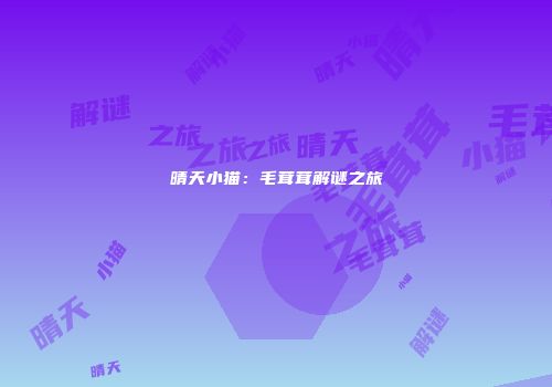 晴天小猫：毛茸茸解谜之旅