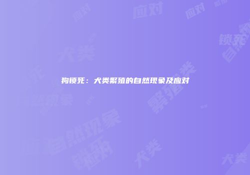 狗锁死：犬类繁殖的自然现象及应对