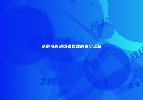 从菜鸟到战场老狐狸的进阶之路