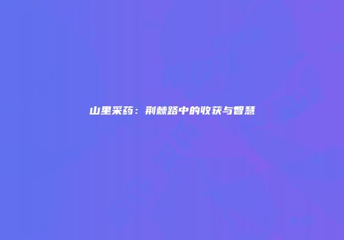 山里采药：荆棘路中的收获与智慧