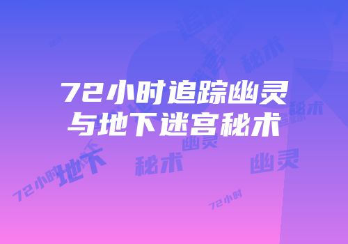 72小时追踪幽灵与地下迷宫秘术