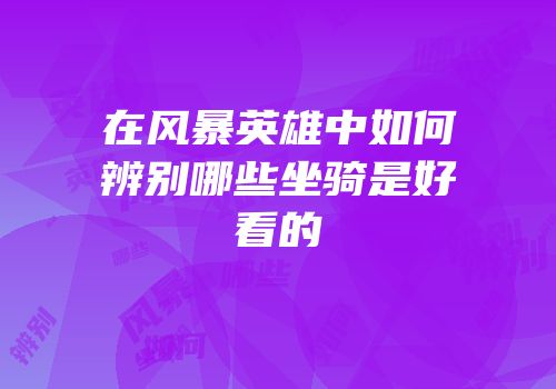 在风暴英雄中如何辨别哪些坐骑是好看的