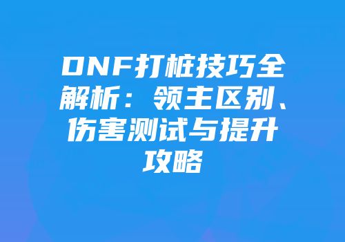 DNF打桩技巧全解析：领主区别、伤害测试与提升攻略