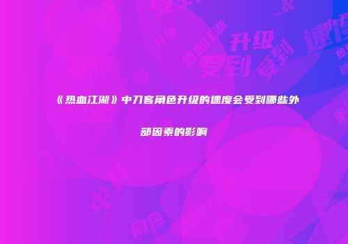 《热血江湖》中刀客角色升级的速度会受到哪些外部因素的影响