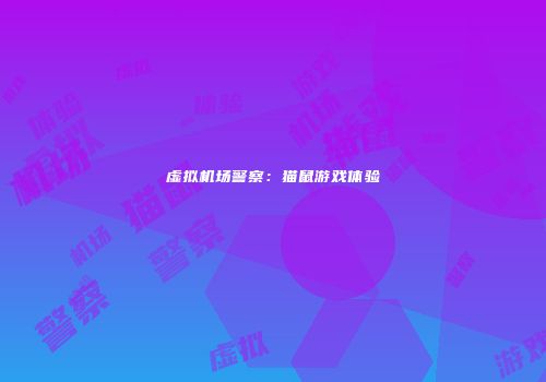 虚拟机场警察：猫鼠游戏体验