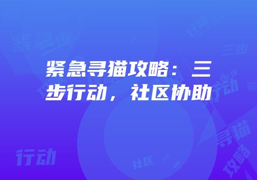 紧急寻猫攻略：三步行动，社区协助