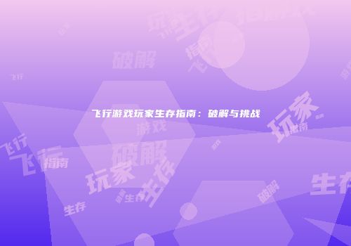 飞行游戏玩家生存指南：破解与挑战