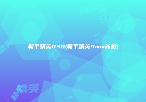 和平精英030(和平精英9mm新枪)