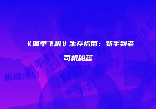 《简单飞机》生存指南：新手到老司机秘籍