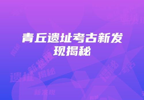青丘遗址考古新发现揭秘