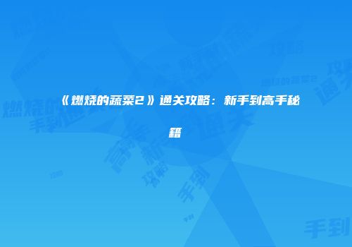 《燃烧的蔬菜2》通关攻略：新手到高手秘籍