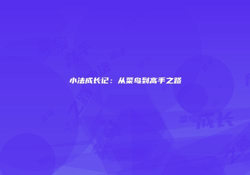 小法成长记：从菜鸟到高手之路
