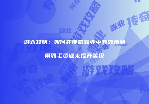 游戏攻略：如何在传奇霸业中有效地利用羽毛资源来提升等级