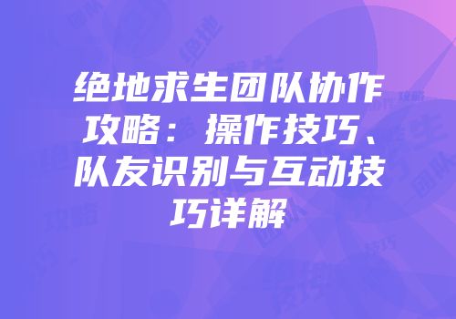 绝地求生团队协作攻略：操作技巧、队友识别与互动技巧详解