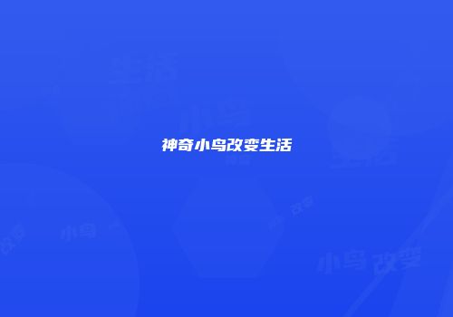 神奇小鸟改变生活