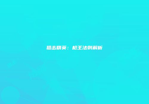 狙击精英：枪王法则解析