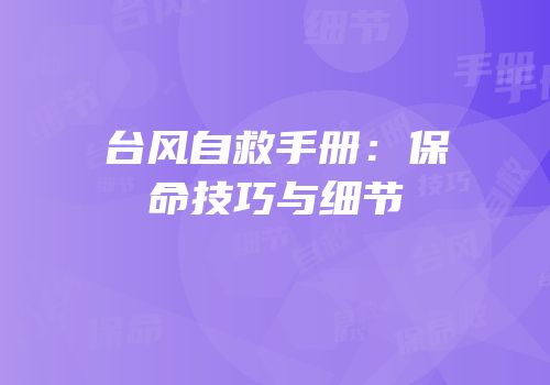 台风自救手册：保命技巧与细节