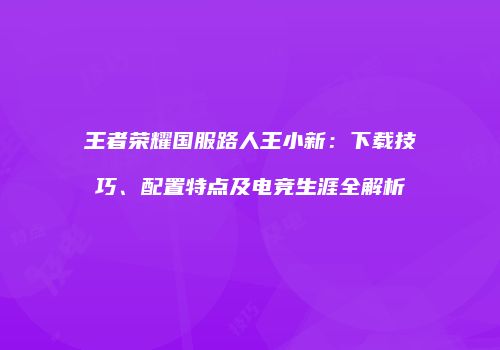王者荣耀国服路人王小新：下载技巧、配置特点及电竞生涯全解析