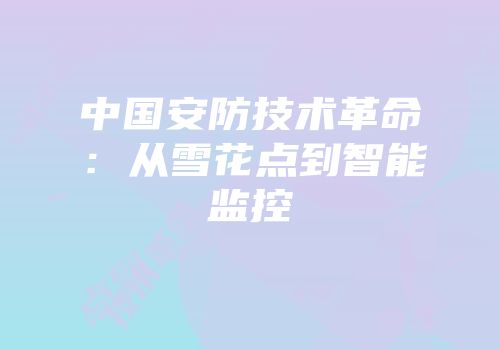 中国安防技术革命：从雪花点到智能监控