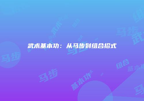 武术基本功：从马步到组合招式