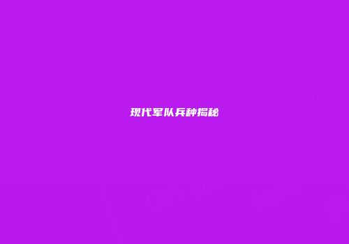 现代军队兵种揭秘