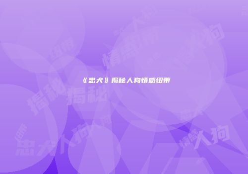 《忠犬》揭秘人狗情感纽带