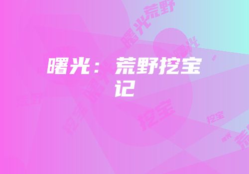 曙光：荒野挖宝记