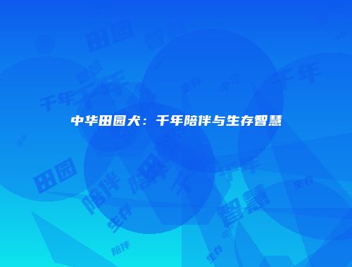 中华田园犬：千年陪伴与生存智慧