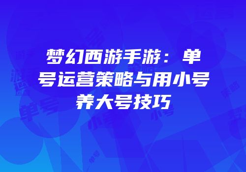 梦幻西游手游：单号运营策略与用小号养大号技巧