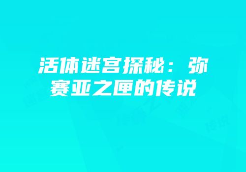 活体迷宫探秘：弥赛亚之匣的传说